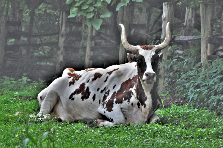 working farm